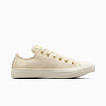 Chuck Taylor All Star Mono Leather
