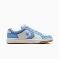Pro Blaze Classic Leather & Suede