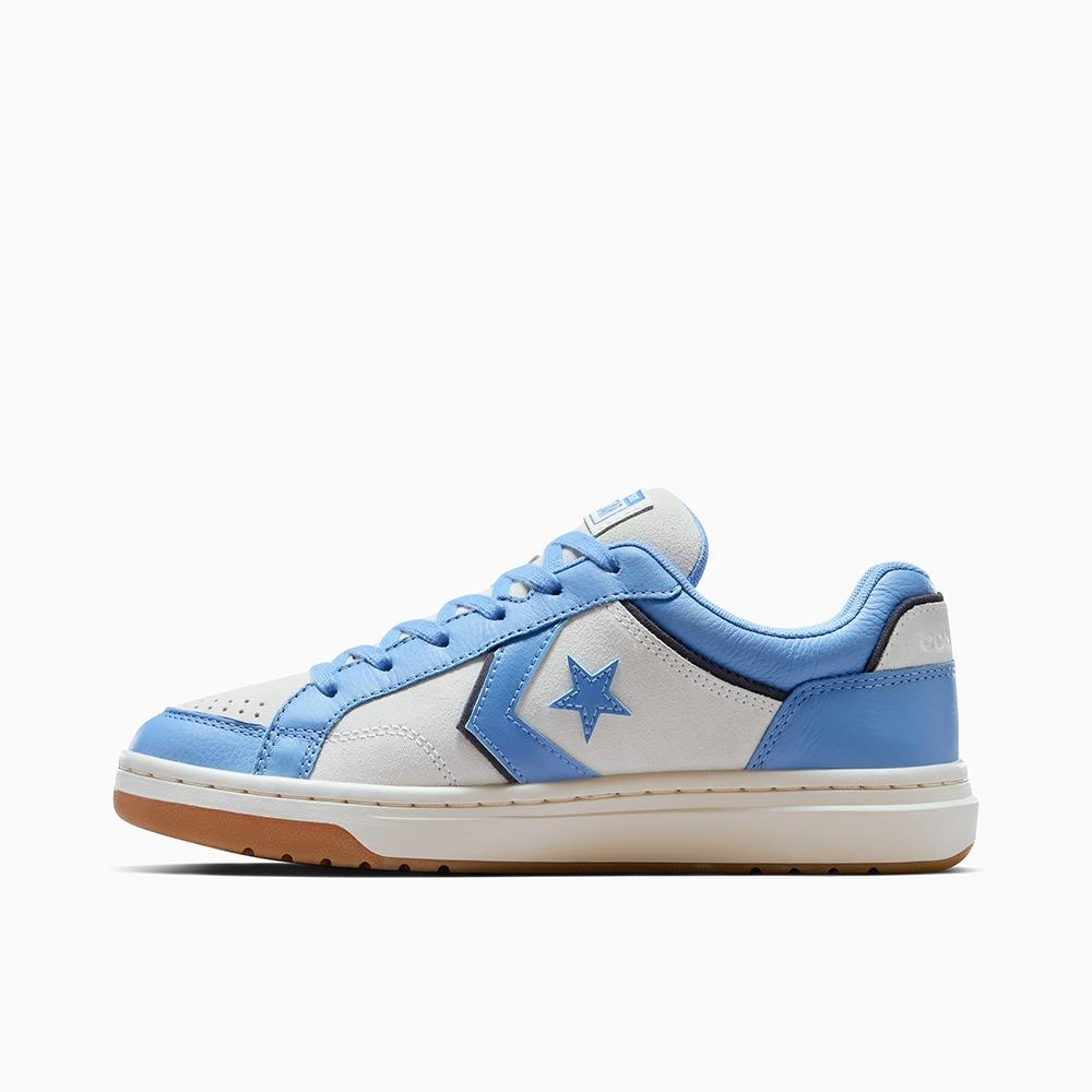 Pro Blaze Classic Leather & Suede