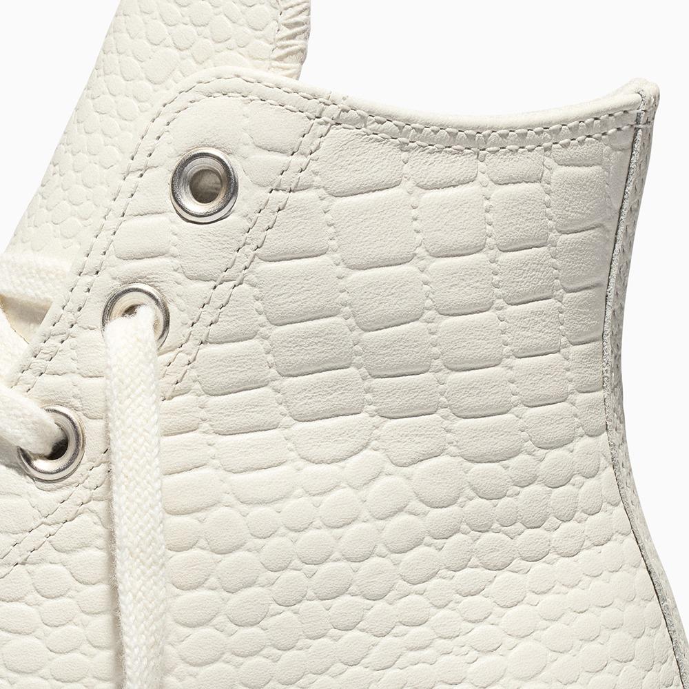 All Star Lift Platform Crocodile